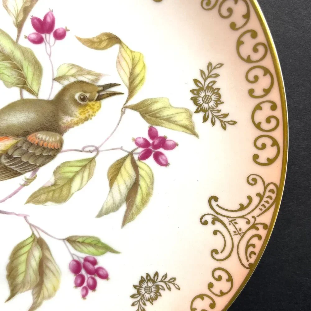 Set 2 Mitterteich Bavaria Germany 7.5" Decorative Bird Plates with Gold Accents - Picture 5 of 12